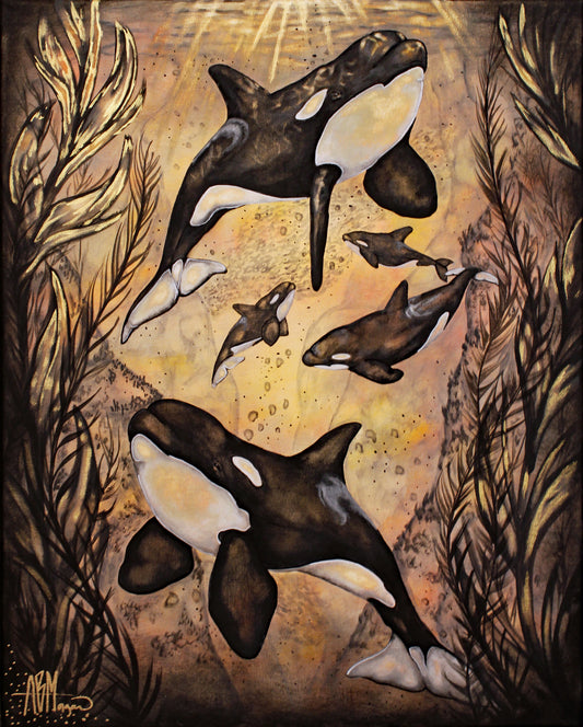 Orca Sunshine