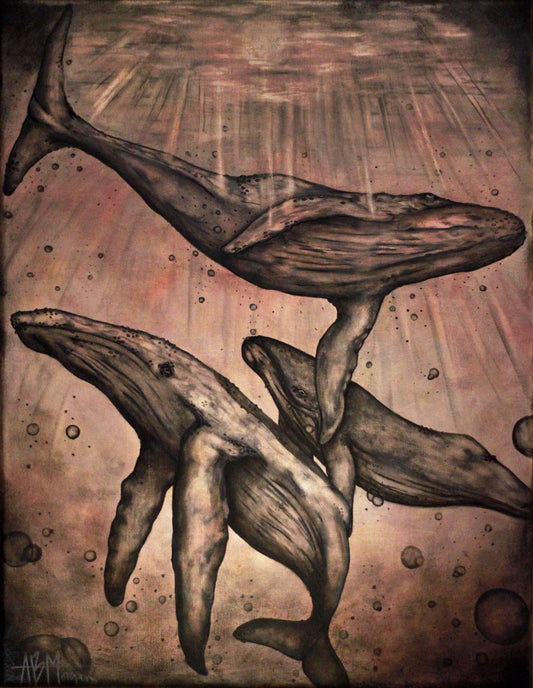 HUmpback Night Swim