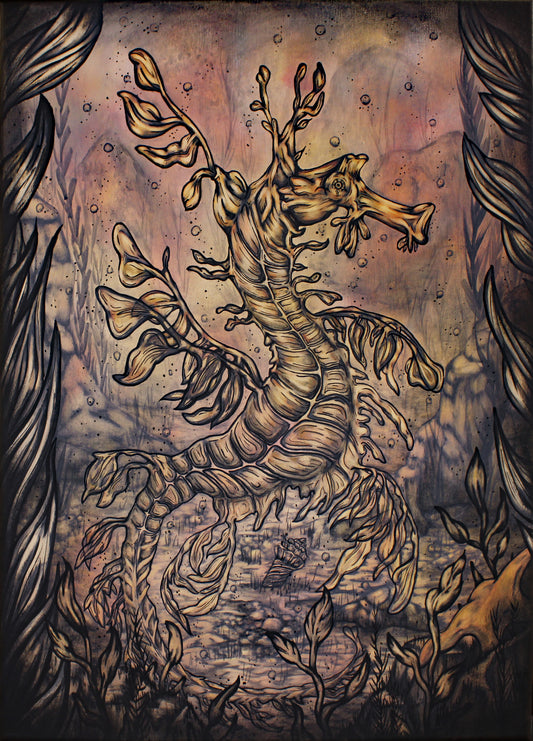Leafy Sea Dragon