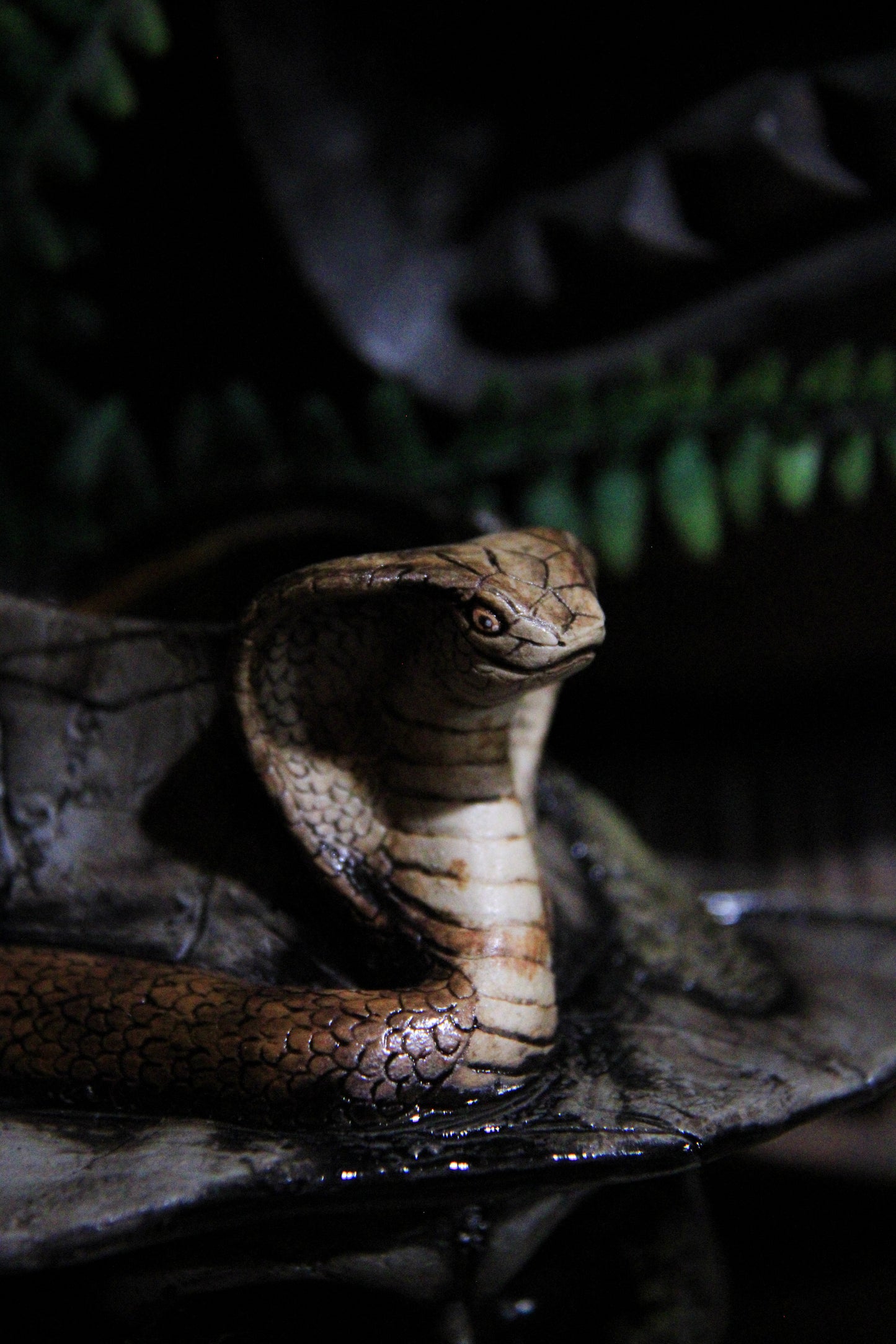 Why'd it Have to be Snakes