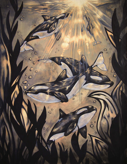 Sun Flare Orcas
